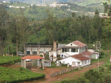 47 Best Places to Visit in Ooty, Things to Do & Sightseeing (2024)