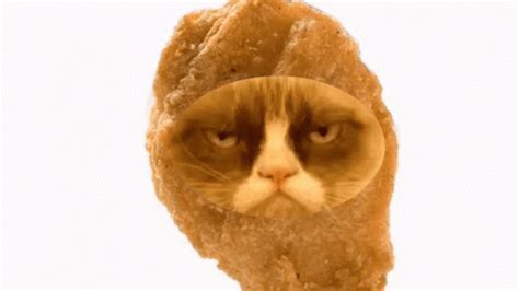 Grumpy Cat Chicken Nuggets GIF - GrumpyCat ChickenNuggets ...