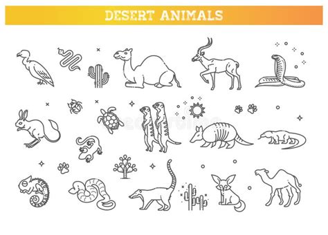 Desert Animals Pictures, The Desert Animals Of Israel Wildlife Habitats ...