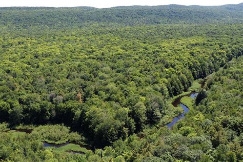 Michigan State Parks - Women Take the Lead: Landslide 2020 (TCLF)