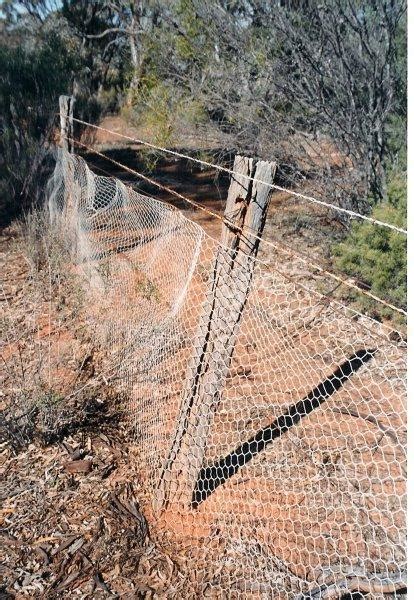 Rabbit Proof fence - Central Wheatbelt Visitor Centre