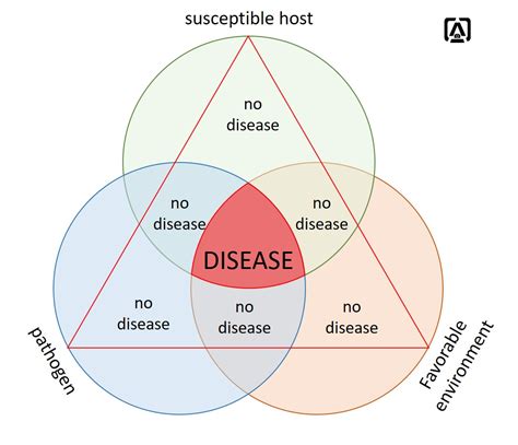 Disease forecasting