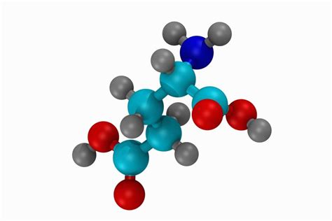 Amino Acids: Structure, Classification and Function