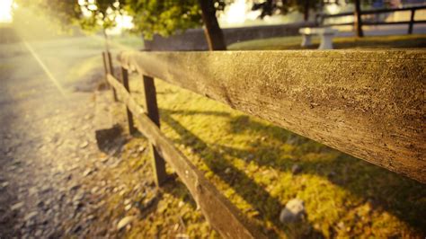 #738373 Fence, Wood planks - Rare Gallery HD Wallpapers