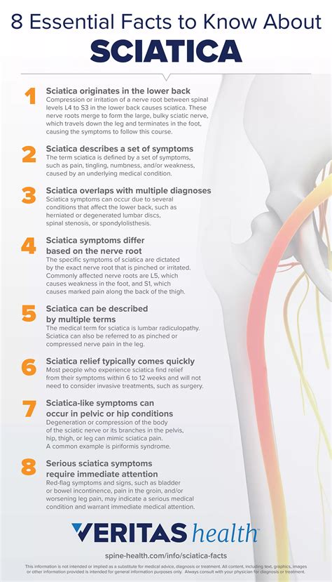 What You Need to Know About Sciatica | Nerve pain relief, Sciatic nerve ...