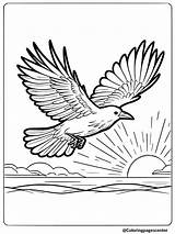 8 Crow Coloring Pages  Free Printable PDFs sketch template
