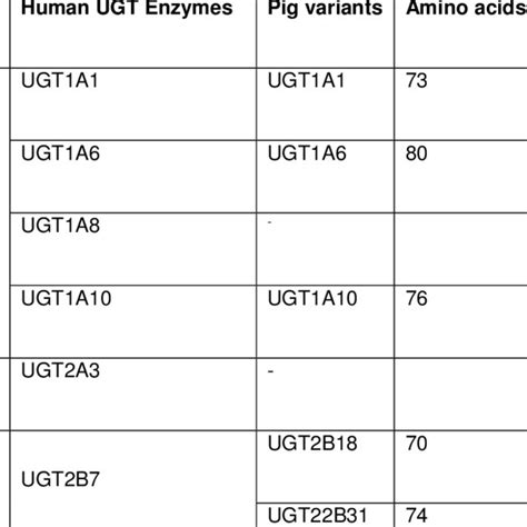 Homology between human CYP enzymes and pig variants | Download Table