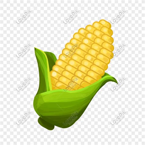 Corn, Ripe, Corn Clipart, Corn PNG White Transparent And Clipart Image ...