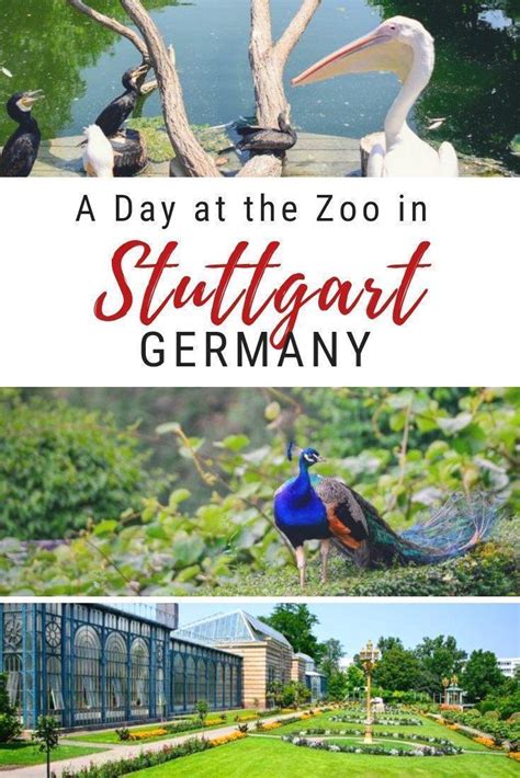 A Day at the Zoo in Stuttgart, Germany | CheeseWeb