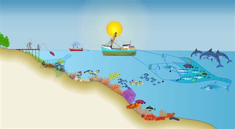 Sustainable Fisheries