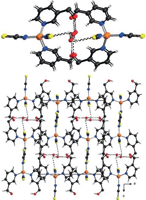 Crystal structure of 1-Zn-H 2 O with view along the crystallographic b ...