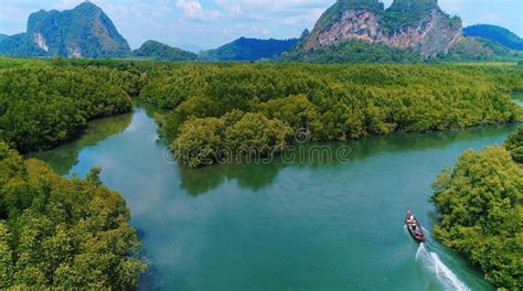 Thailand Aerial Landscape, Drone View of River in Green Tropical Forest, Beautiful Nature ...