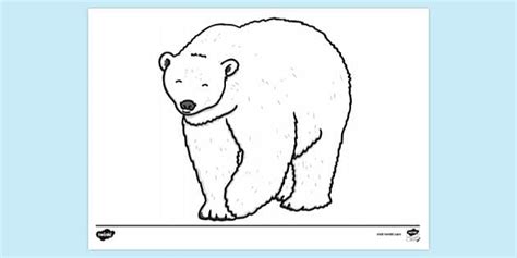 FREE! - Polar Bear Colouring | Colouring Sheets - Twinkl