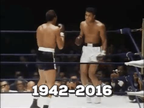 Animated GIF - Find & Share on GIPHY | Muhammad ali boxing, Muhammad ...