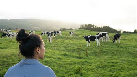 25 Places to Visit on Your Azores Vacation to Terceira Island