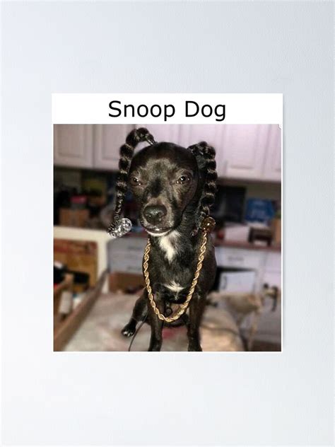 "Snoop Dog Meme" Poster by mdhalloran | Redbubble