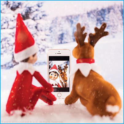 Cute Ideas for Scout Elves and Elf Pets® Reindeer | The Elf on the Shelf