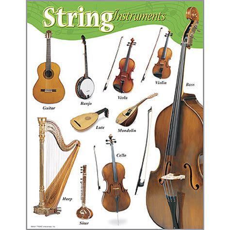 String Instruments Chart - Alabanza Music: Education from birth