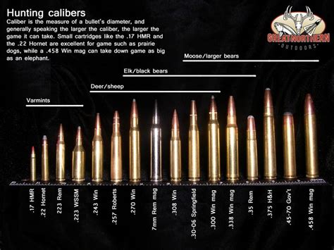 Ammo and Gun Collector: An Excellent Game Hunting Cartridge Ammo ...