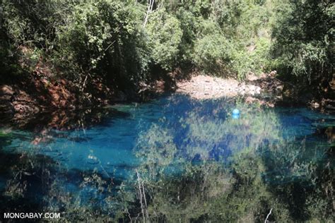 Crystal clear water of Bonito's Lagoa Misteriosa, a limestone sinkhole