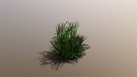 Grass - Buy Royalty Free 3D model by Luis Gustavo (@Luissantos2) [29e3144] - Sketchfab Store