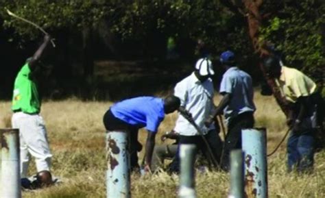 Terrifying ordeal: CCC activist suffers brutal attack for defying Zanu ...