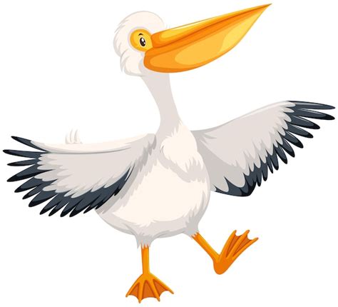 Premium Vector | Pelican character on white background