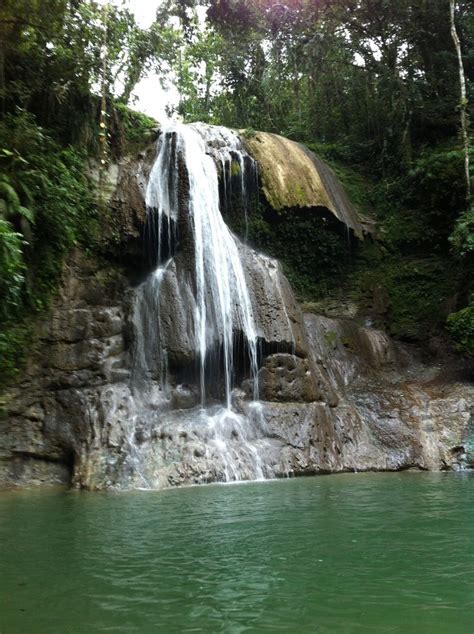 Gozalandia Waterfall, Puerto Rico. | Waterfall, Puerto rico, Outdoor