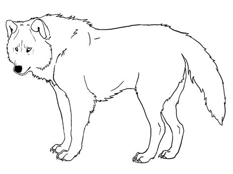 Lobos – descargar gratis dibujos para colorear. | Lobo gris, Lobo para ...