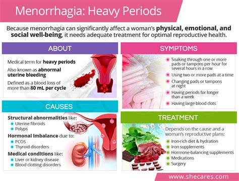 Menorrhagia heavy periods – Artofit