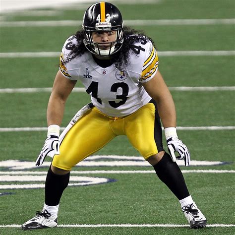 Troy Polamalu Injury: Updates on Steelers Star's Knee and Return | News ...