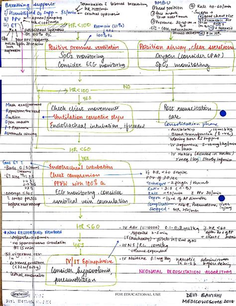 Medicowesome: Neonatal Resuscitation Protocol