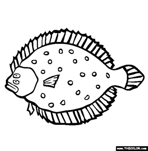 Flounder Coloring Page | Free Flounder Online Coloring