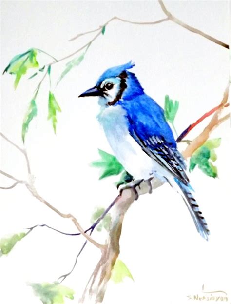 Blue Jay original watercolor painting 12 X 9 in watercolor