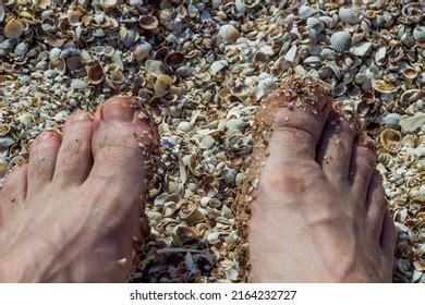 Closeup Male Feet Covered Small Seashells Stock Photo 2164232727 | Shutterstock