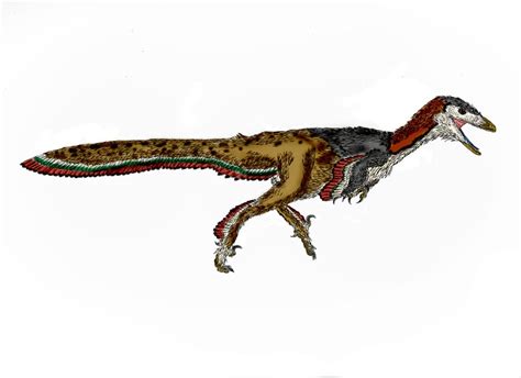 Troodon Pictures & Facts - The Dinosaur Database