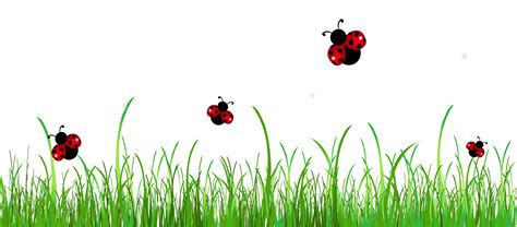 Free Ladybug Birthday Cliparts, Download Free Ladybug Birthday Cliparts png images, Free ...