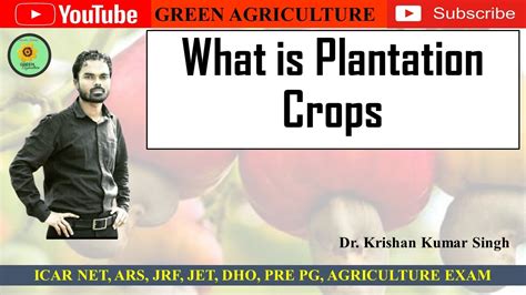 Plantation Crops - Green Agriculture Suppliers and Manufacturers in India