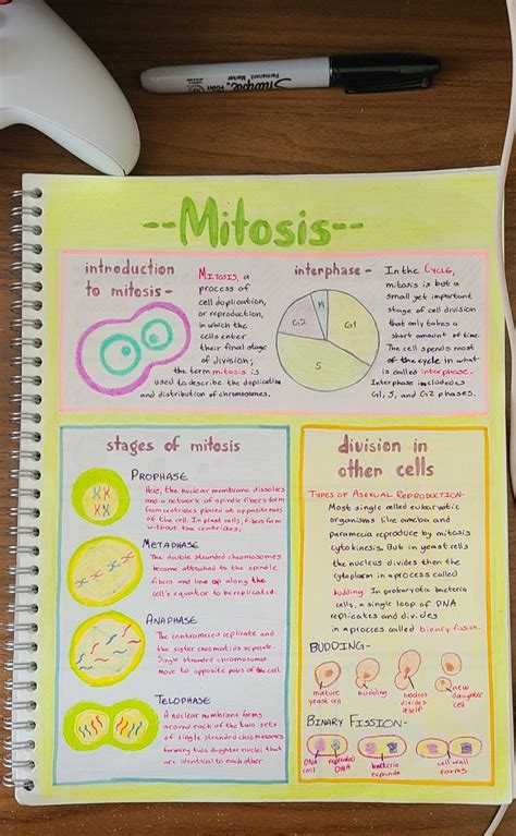 Notes for high school Chemistry class, classic pen and paper :) : r ...