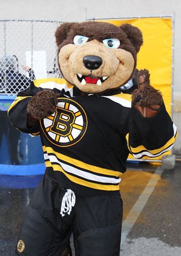 Boston Bruins Mascot Commercials