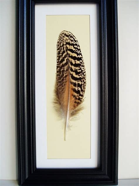 Framed feather (unknown prov, formerly etsy) | Pheasant feather decor ...