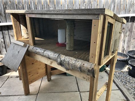 Our new quail cage. Made with found and scavenged materials. : r/quails