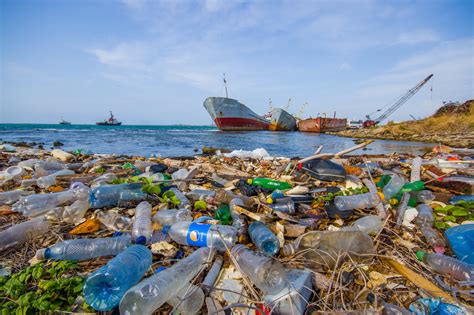 New report says plastic trash to exceed fish in the sea by 2050