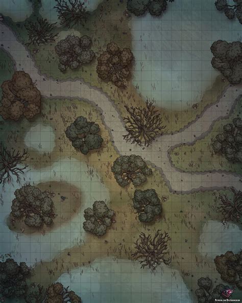 Swamp Path Battle Map 24x30 : dndmaps