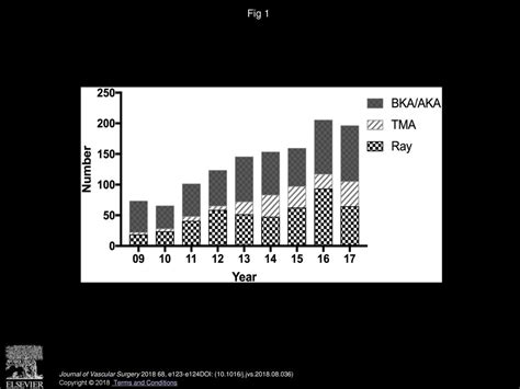 LEA 25. Outcomes in Limb Preservation After Revascularization and Minor Amputations in 876 ...