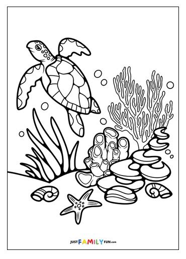 Coral Reef Coloring Pages