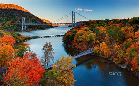 Ponte do rio da selva de outono - outubro de 2013 Papel de parede do Bing Visualização ...