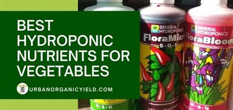 Best Hydroponic Nutrients For Vegetables