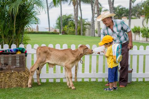 #HavingFun with all activities in family. #Farm | Family time, Nayarit, Activities