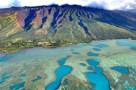 Royal fish ponds of Molokai | Fish ponds, Molokai, Pond